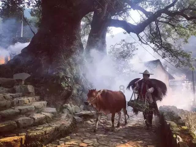 我就是妖女