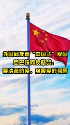 呆萌动物园