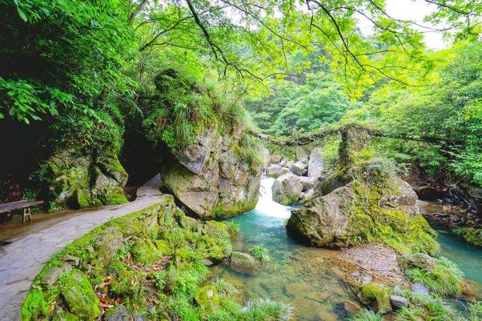 塞尔达荒野之息